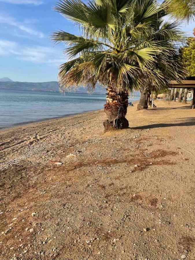 Μοντέρνα Εξοχική Μονοκατοικία Με Ιδιωτική Πισίνα! Khalkoutsion Екстер'єр фото
